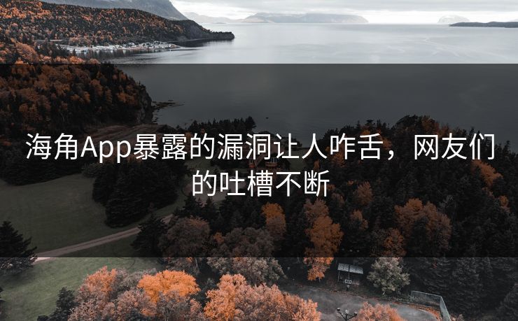 海角App暴露的漏洞让人咋舌，网友们的吐槽不断