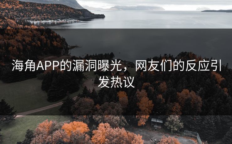 海角APP的漏洞曝光，网友们的反应引发热议