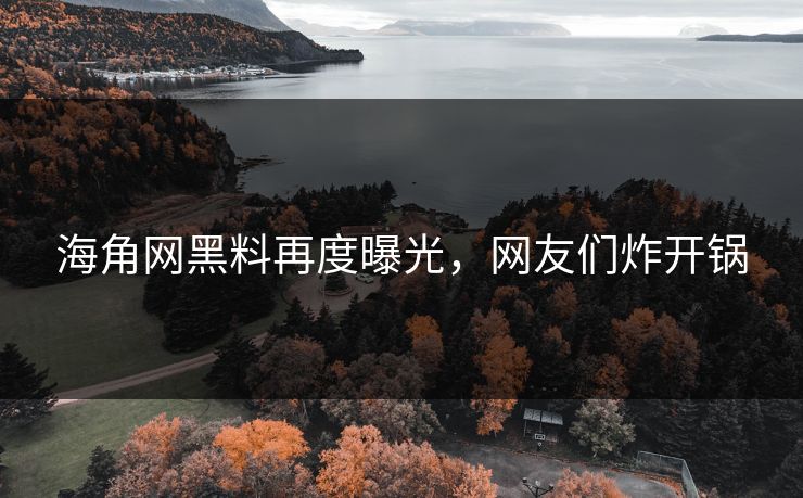 海角网黑料再度曝光，网友们炸开锅