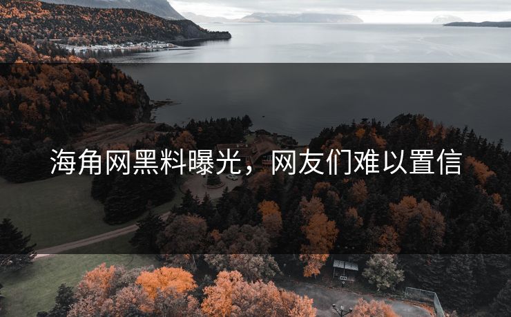 海角网黑料曝光，网友们难以置信