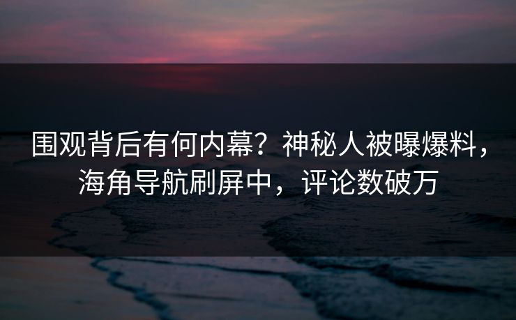 围观背后有何内幕？神秘人被曝爆料，海角导航刷屏中，评论数破万