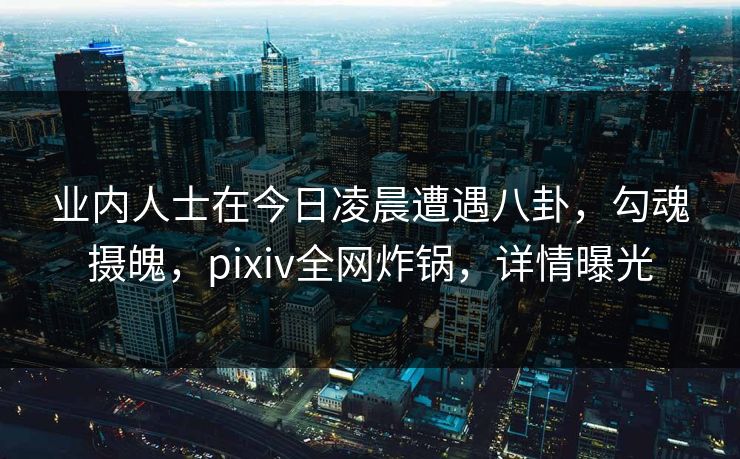 业内人士在今日凌晨遭遇八卦，勾魂摄魄，pixiv全网炸锅，详情曝光