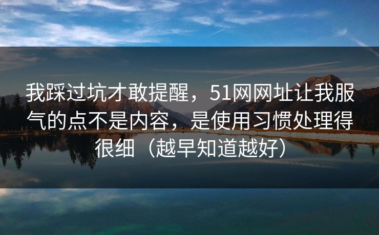 我踩过坑才敢提醒，51网网址让我服气的点不是内容，是使用习惯处理得很细（越早知道越好）